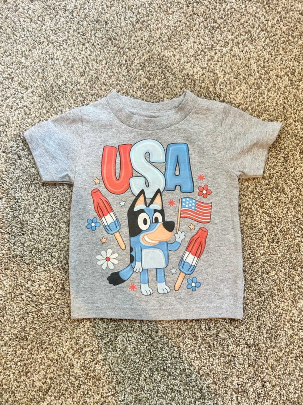 Bluey USA Tee